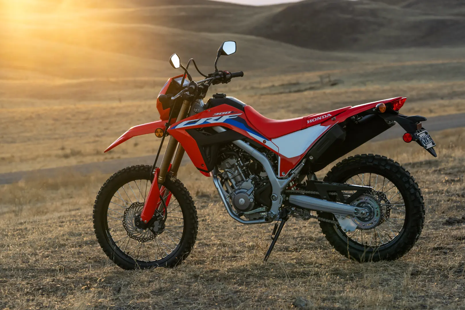 CRF 300L img 2