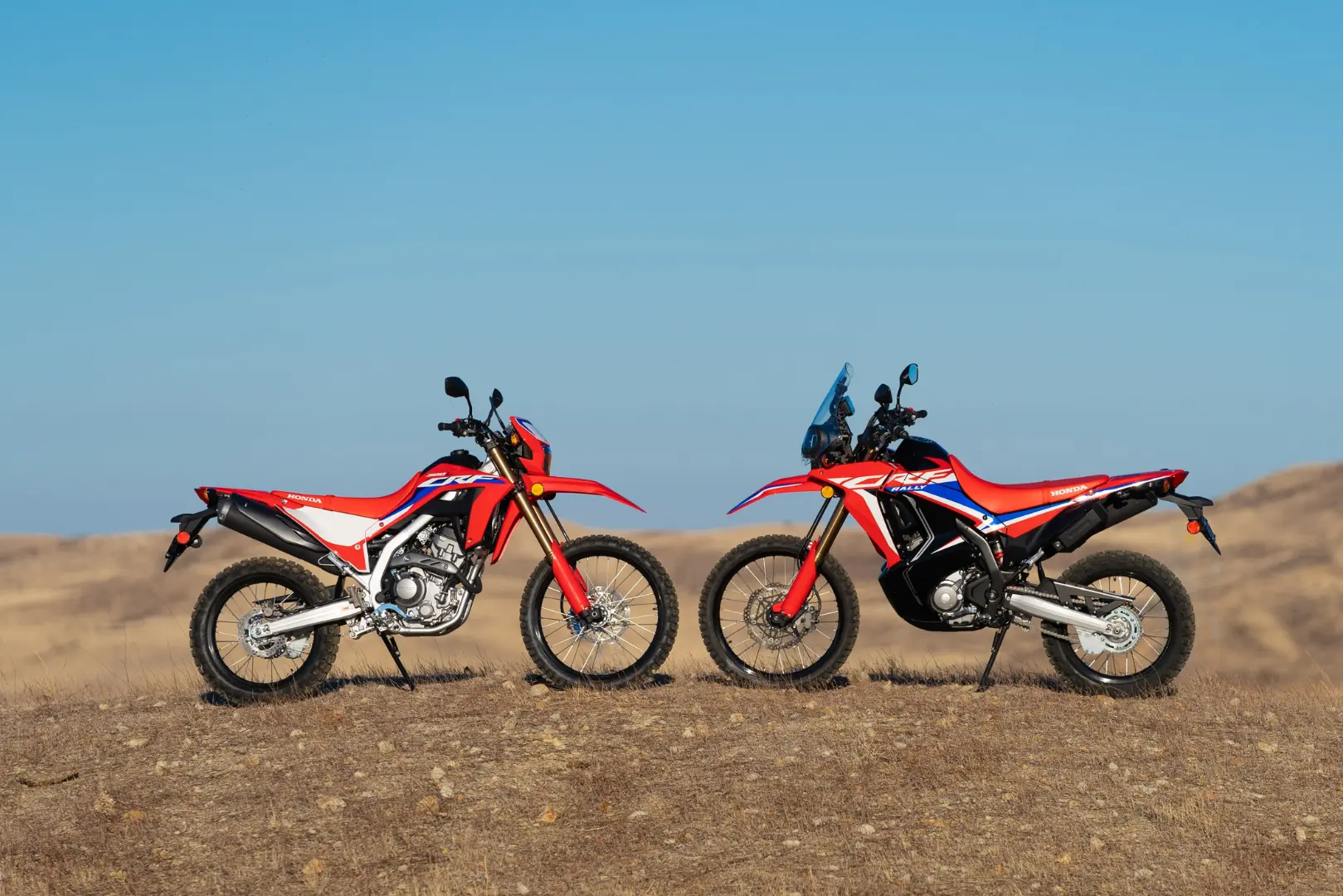 CRF 300L img 3