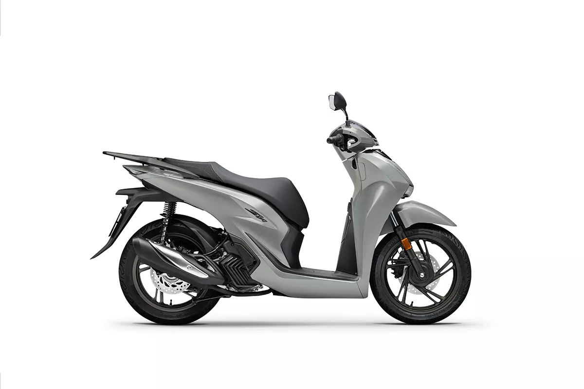 PEARL FALCON GRAY4.000 €