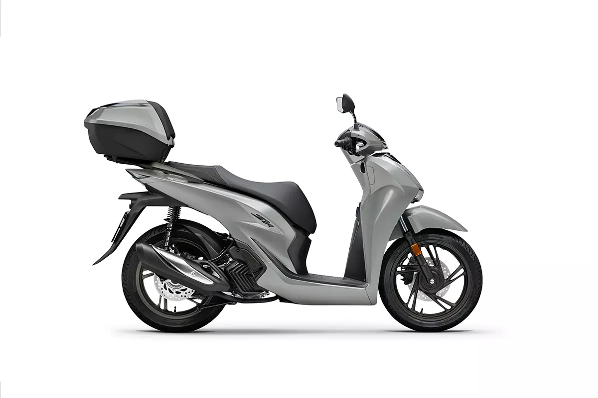 PEARL FALCON GRAY4.300 €