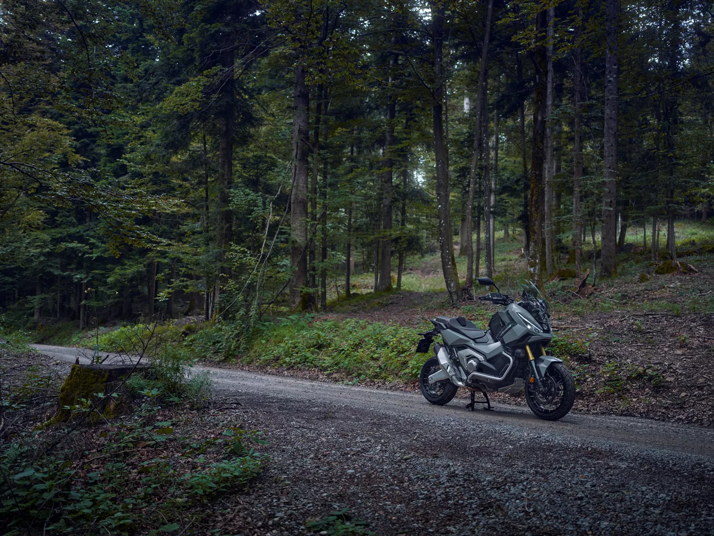X-ADV slider 4