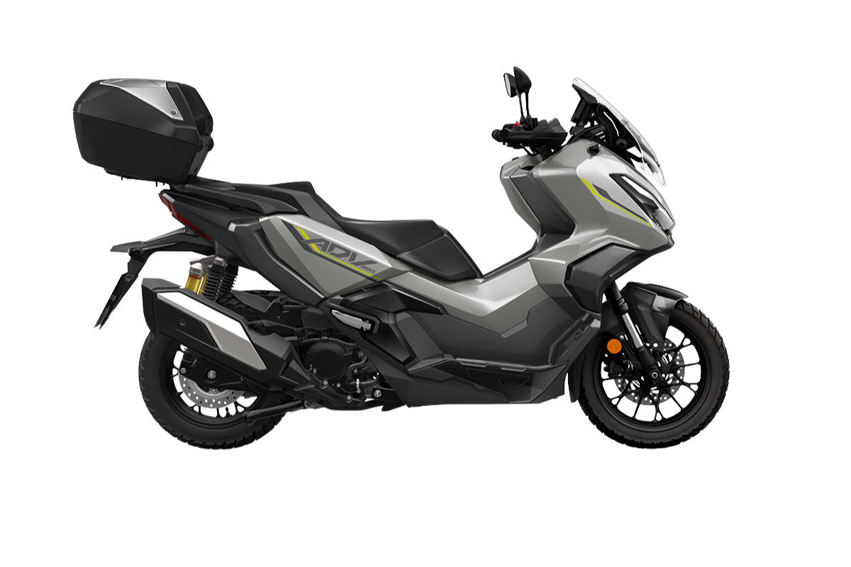 PEARL FALCON GRAY7.810 €