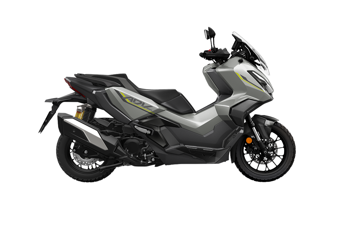 PEARL FALCON GRAY7.290 €