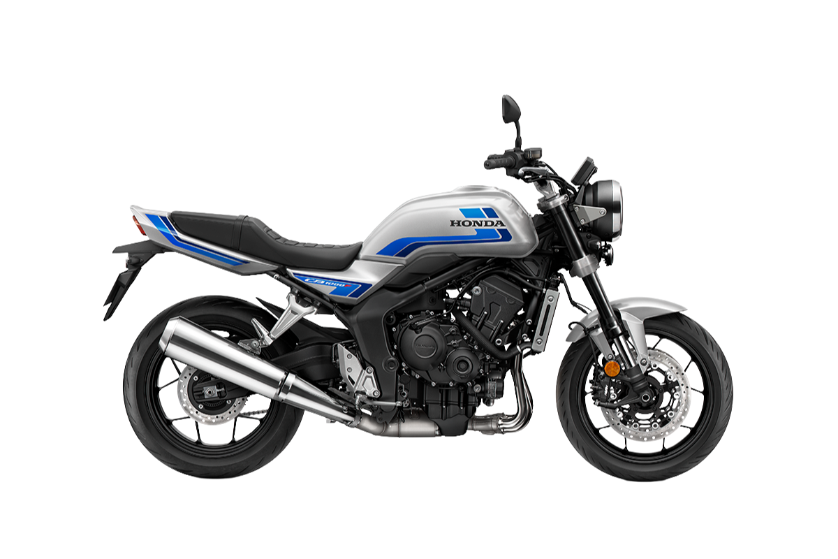 WOLF SILVER METALLIC WITH BLUE STRIPE
- €