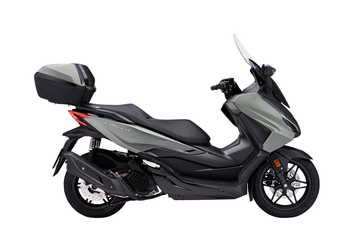 PEARL FALCON GRAY6.000 €