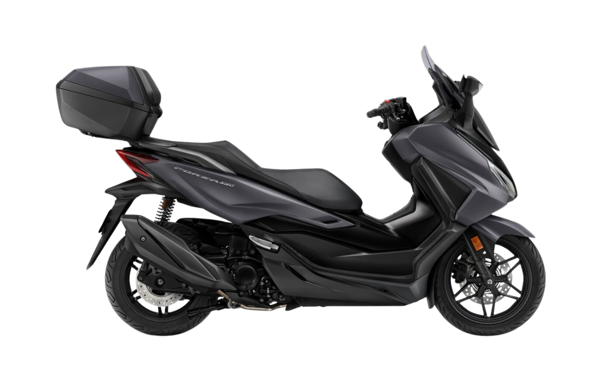 PEARL FALCON GRAY7.410 €