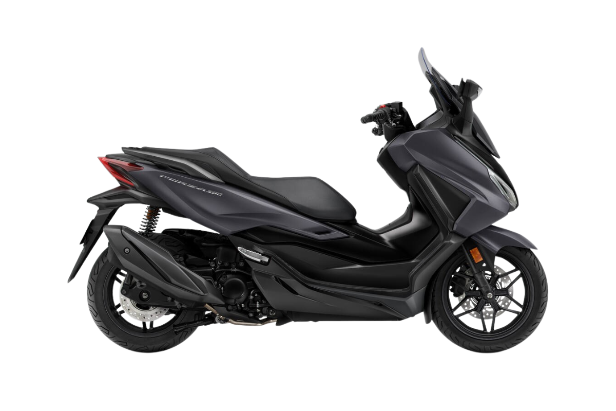 PEARL FALCON GRAY6.890 €