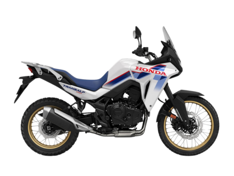 ROSS WHITE11.750 €