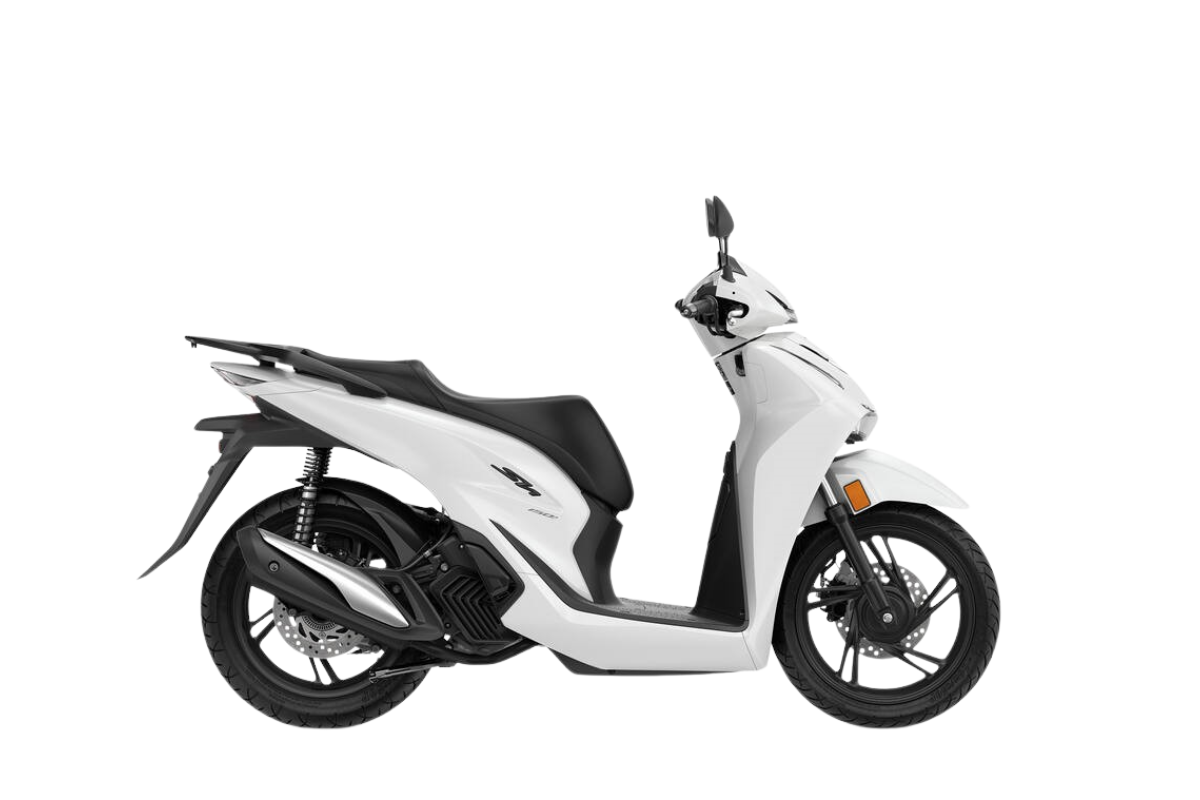 PEARL COOL WHITE- €