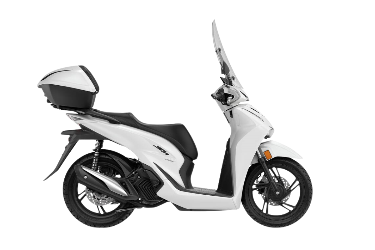 PEARL COOL WHITE- €