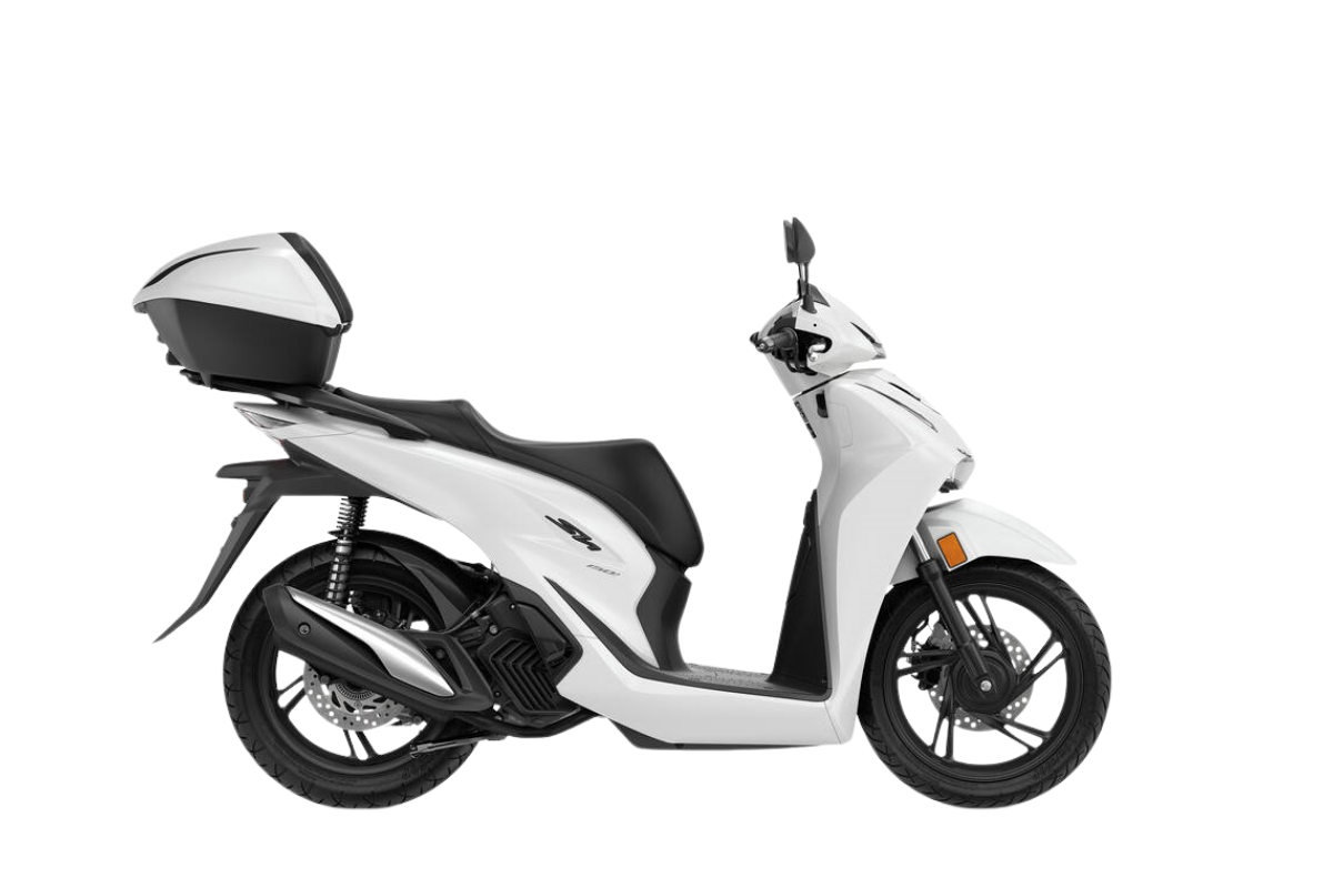 PEARL COOL WHITE- €