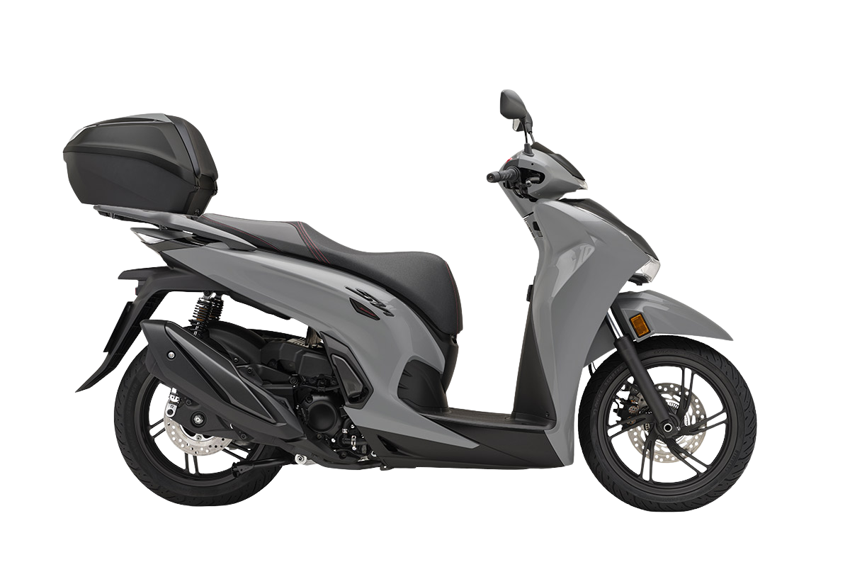 PEARL FALCON GRAY6.270 €