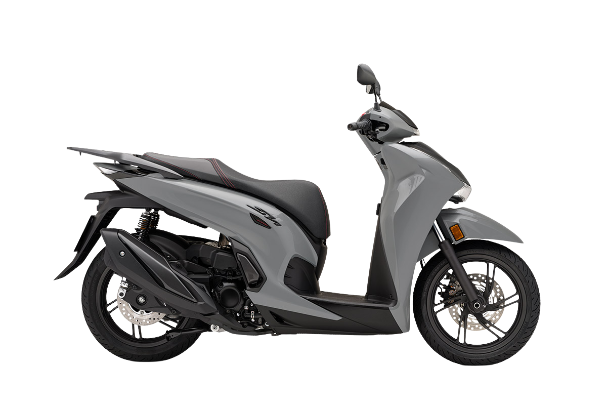 PEARL FALCON GRAY5.870€